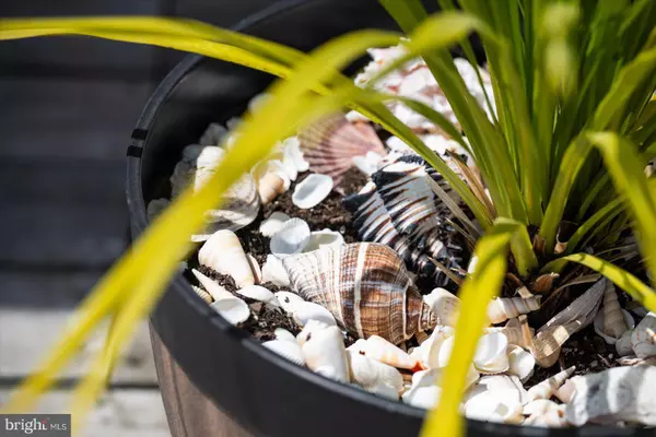 Ocean City, MD 21842,8201 COASTAL HWY #2 & #3