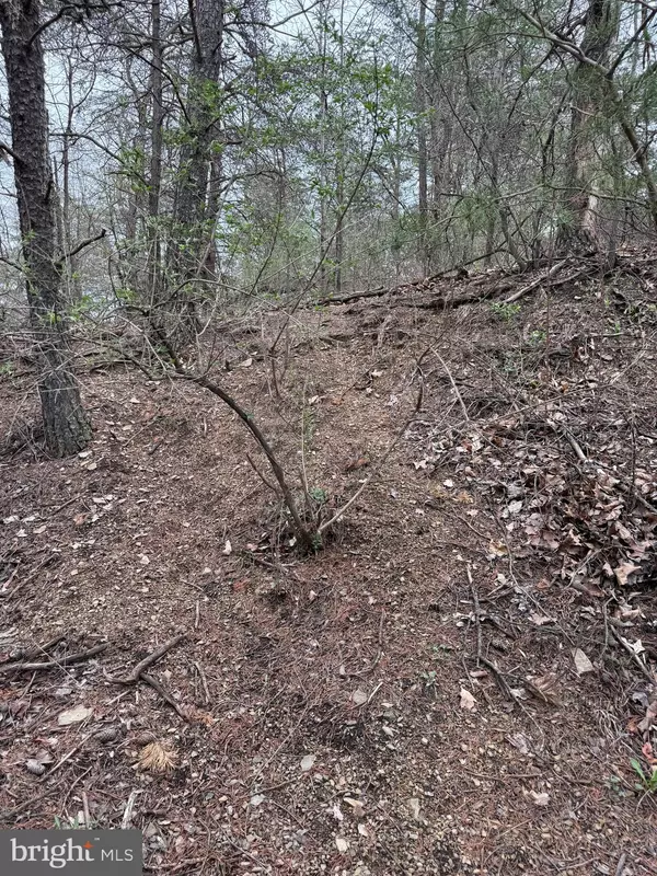 Hedgesville, WV 25427,LOT A 3.09 ACRES SERENITY LN