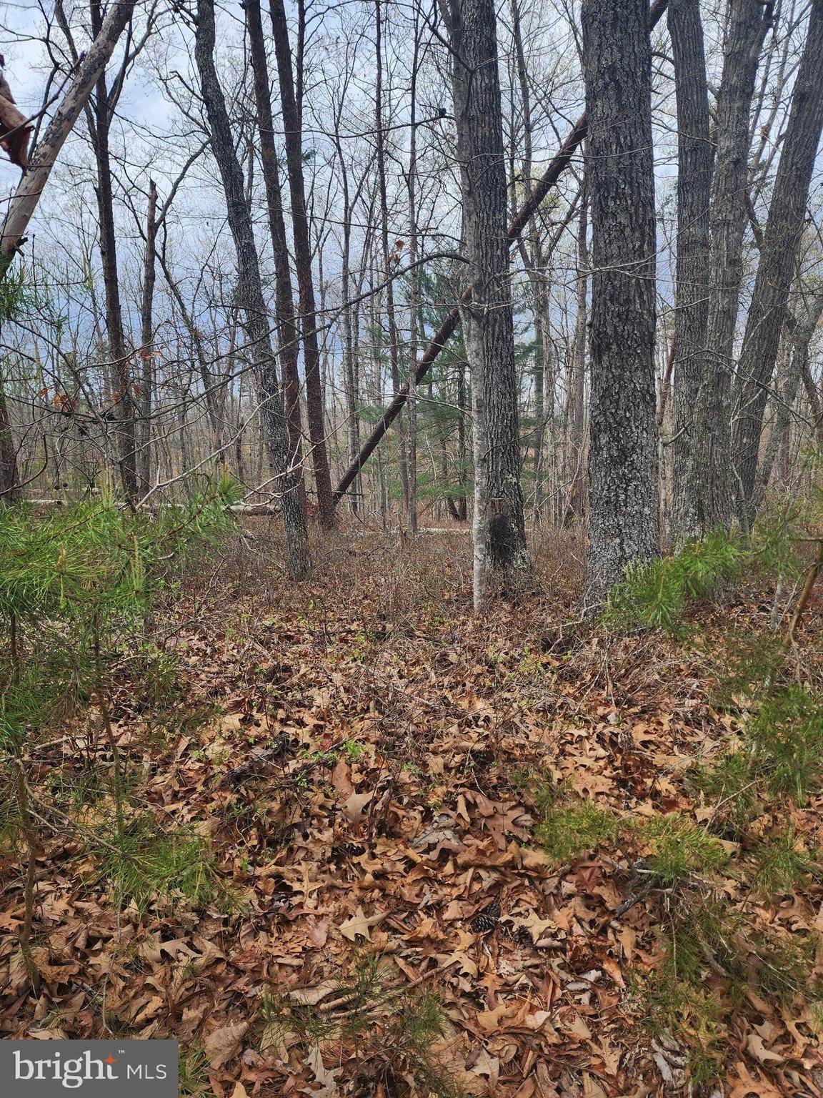 Gordonsville, VA 22942,LOT 9 PARADISE LN