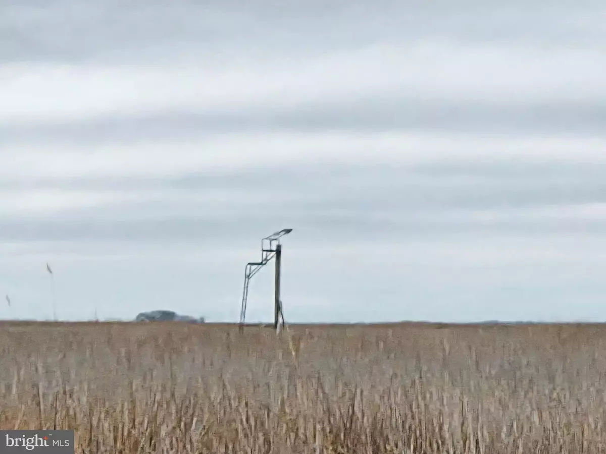 Crapo, MD 21626,WATERFOWL & SIKA DEER --S/S WESLEY RD #MUSKRAT HARBOR