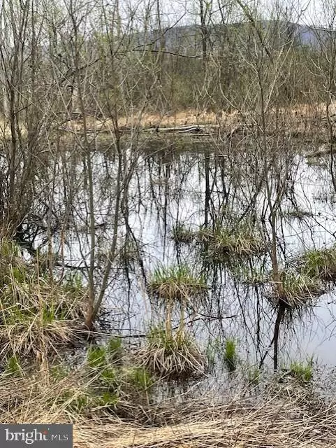 Mercersburg, PA 17236,0 PUNCH BOWL ROAD