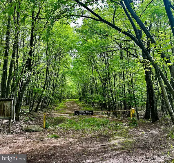 Summit Hill, PA 18250,E MOUNTAIN TOP RD