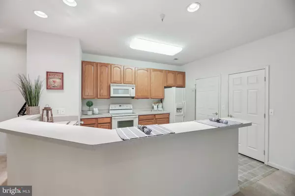 Owings Mills, MD 21117,307 WYNDHAM CIR #B
