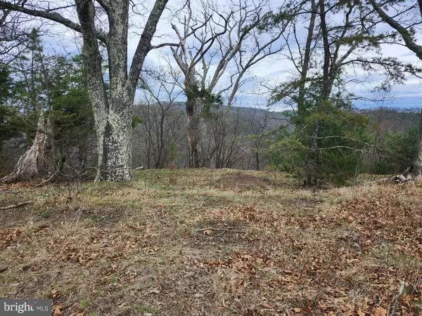 Milam, WV 26838,GRACE MTN LN
