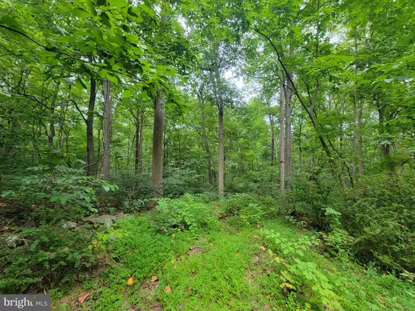 14358 BROWN RD,  Sabillasville,  MD 21780