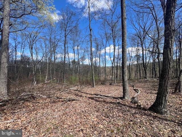 Bloomery, WV 26817,20 ACRES OFF RIVER GLEN RD