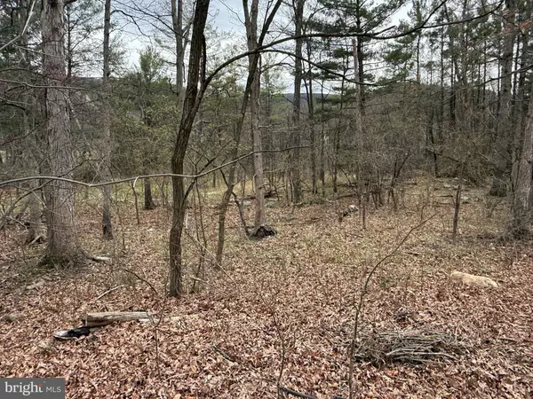 New Creek, WV 26743,TIMBERLAKE ESTATES - LOT 4