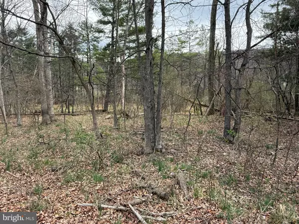 New Creek, WV 26743,TIMBERLAKE ESTATES - LOT 5