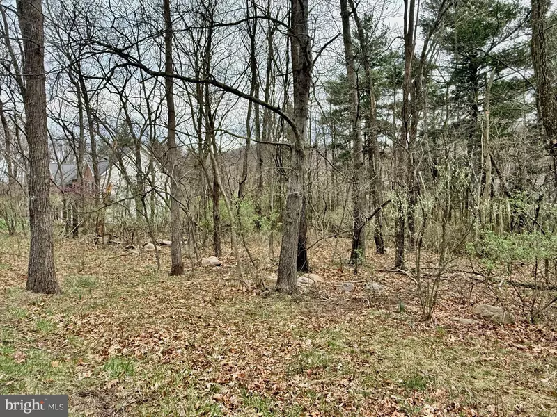 TIMBERLAKE ESTATES - LOT 6, New Creek, WV 26743