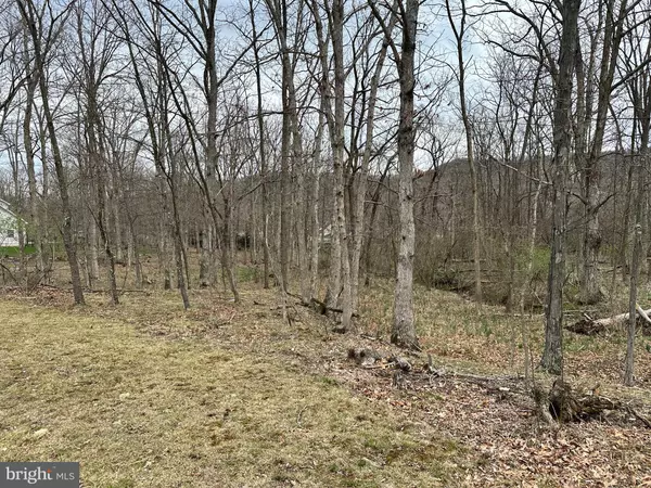 TIMBERLAKE ESTATES - LOT 27, New Creek, WV 26743