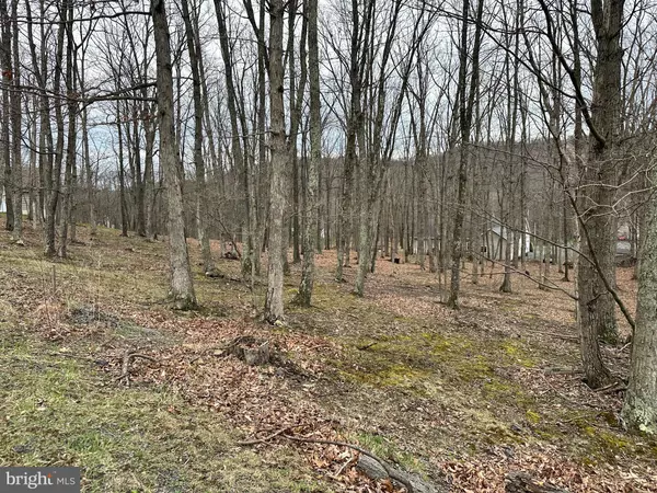 New Creek, WV 26743,TIMBERLAKE ESTATES - LOT 37