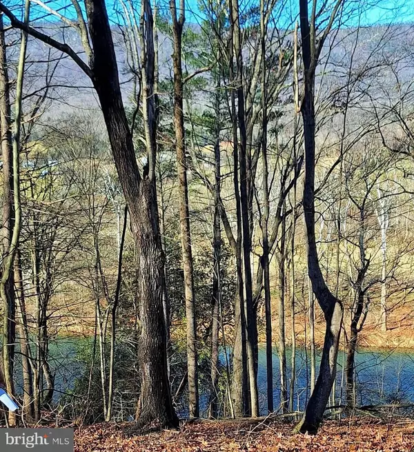 Luray, VA 22835,KAUFFMAN MILL RD