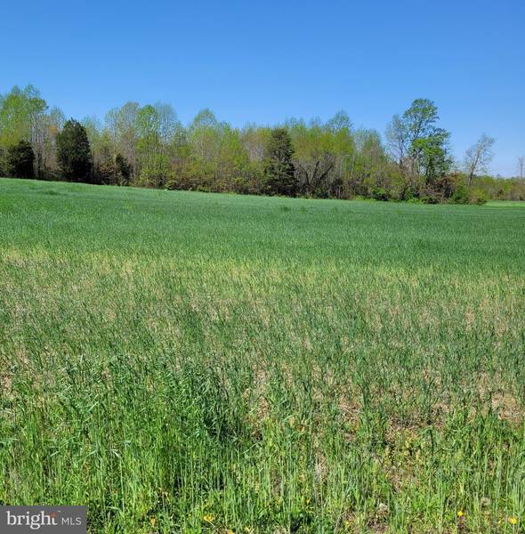 0 NEWMANS NECK RD, Heathsville, VA 22473
