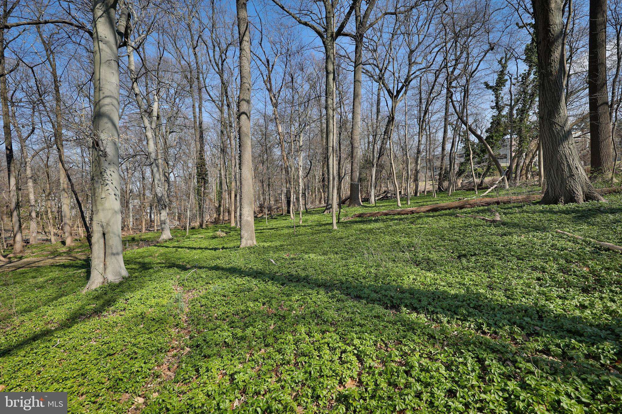 Wyncote, PA 19095,436 GREENWOOD AVE