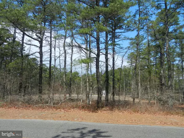 39 B PRINCE ST, Chatsworth, NJ 08019