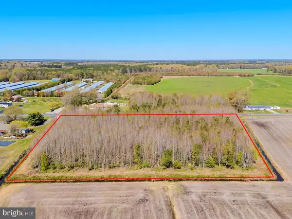 Georgetown, DE 19947,SE EAST TRAP POND RD