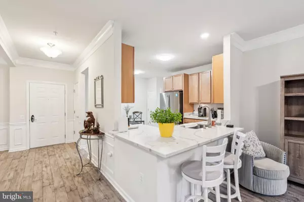 Ashburn, VA 20147,20515 LITTLE CREEK TER #101