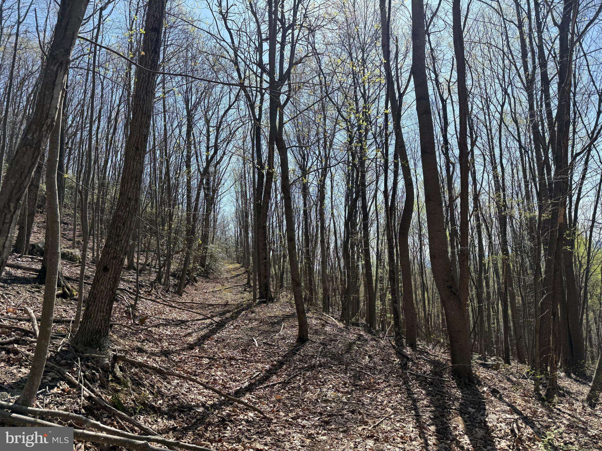 Goode, VA 24556,0 CHARLEMONT RD