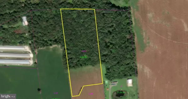 RESIDUAL LOT SEASHORE HWY, Bridgeville, DE 19933