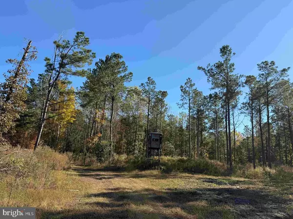 Beaufort, NC 28516,GREY FARM ROAD-JAMESVILLE, NC (TRACT: GREY FARM)