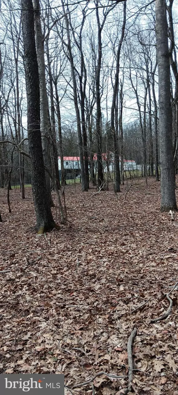 Cairnbrook, PA 15924,1243 SHAFFER MOUNTAIN RD