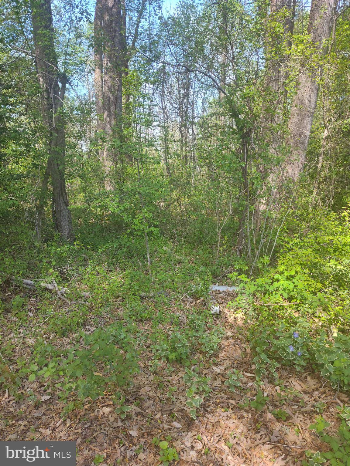 Gambrills, MD 21054,2486 LEE ST