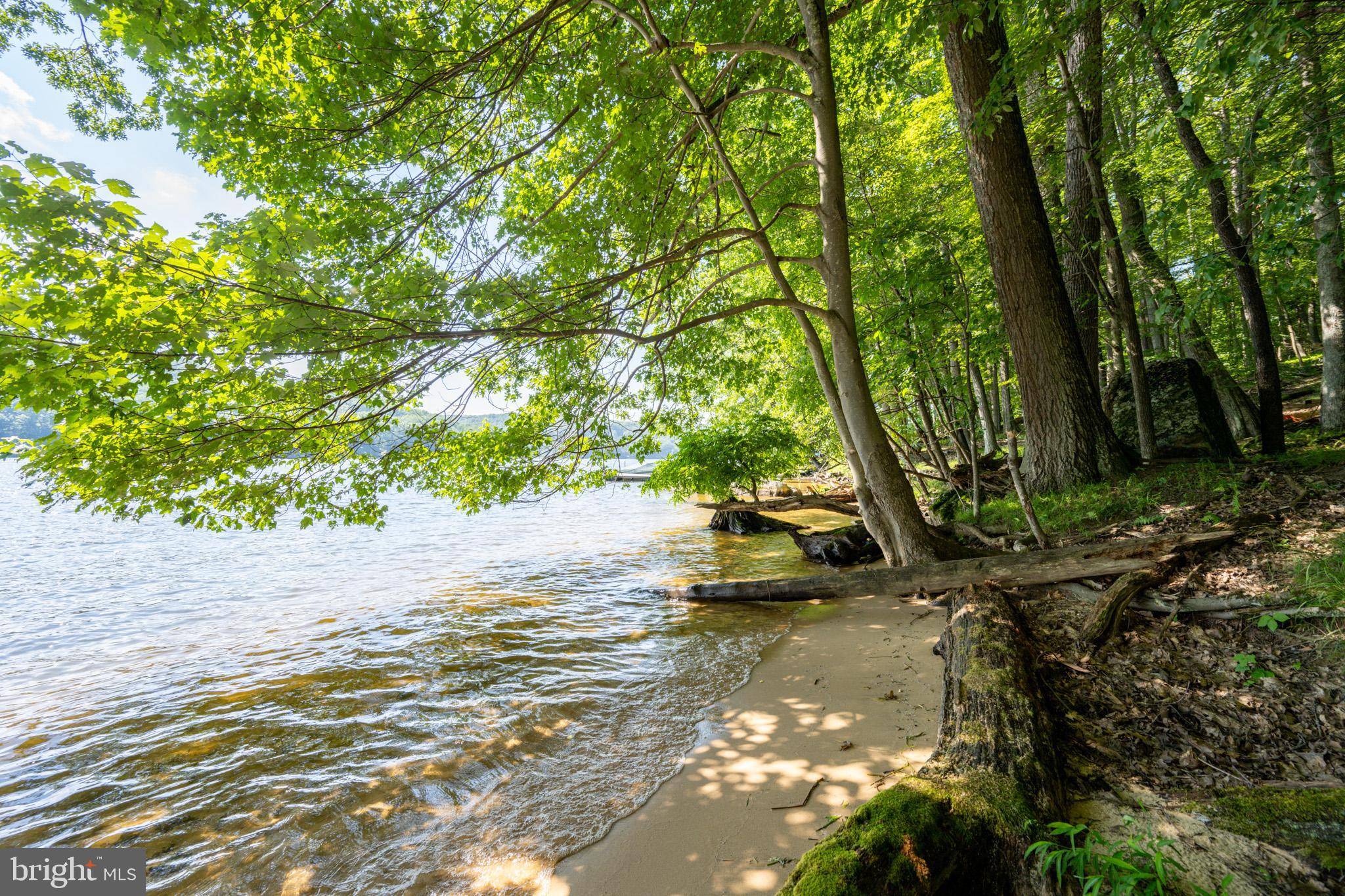 Oakland, MD 21550,2849 SHINGLE CAMP RD