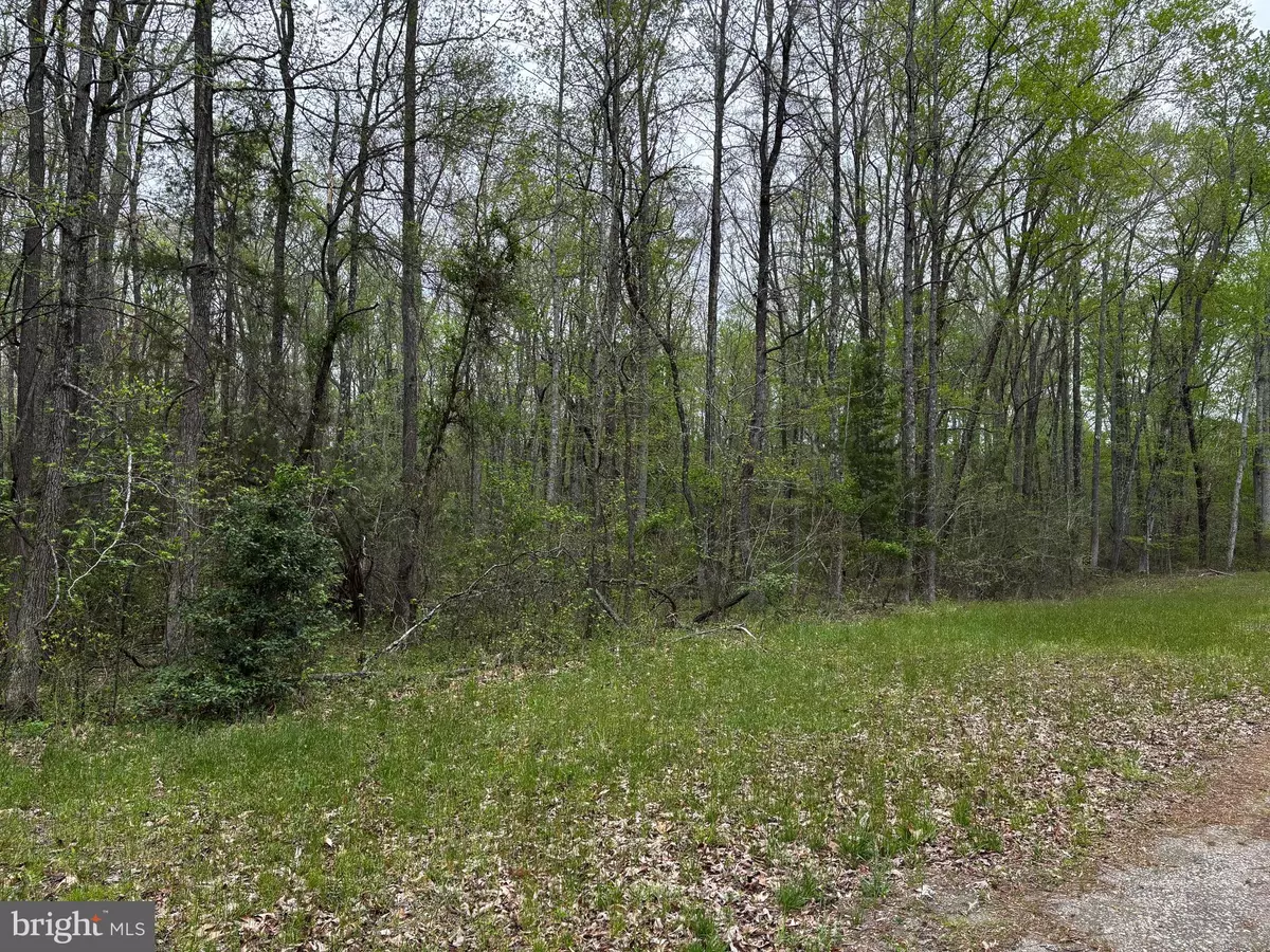 Woodford, VA 22580,0 PAIGE RD
