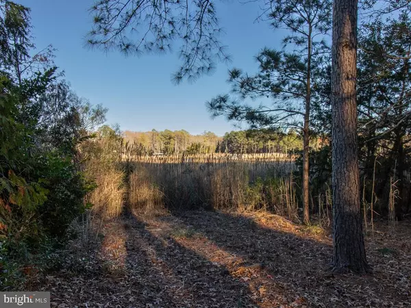 Lewes, DE 19958,49 LOVE CREEK DR