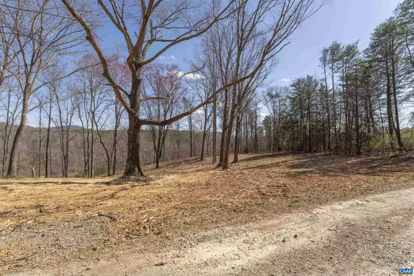 Afton, VA 22920,LOT 2 ROCKFISH VALLEY HWY #2