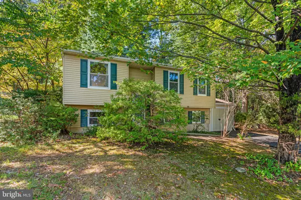 Damascus, MD 20872,24728 NICKELBY DR