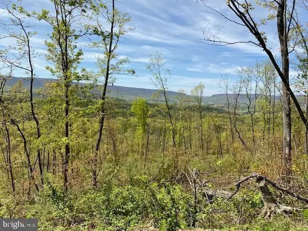 Hopewell, PA 16650,LOT 6 POLECAT HOLLOW ROAD