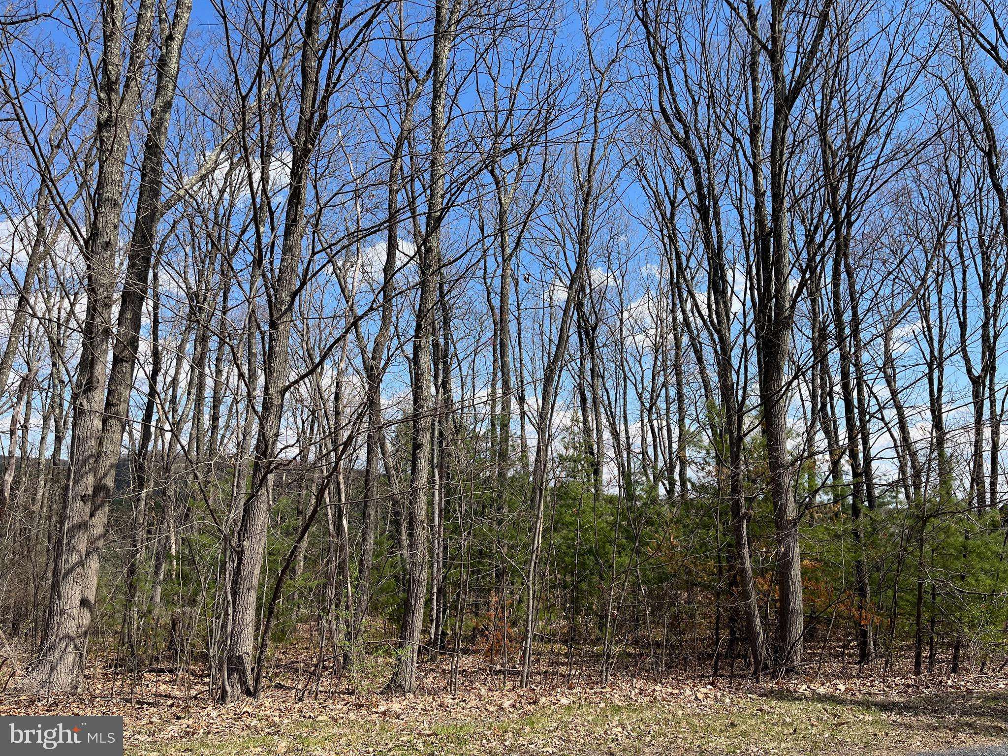 New Ringgold, PA 17960,LOT 14 EAGLES VIEW DR