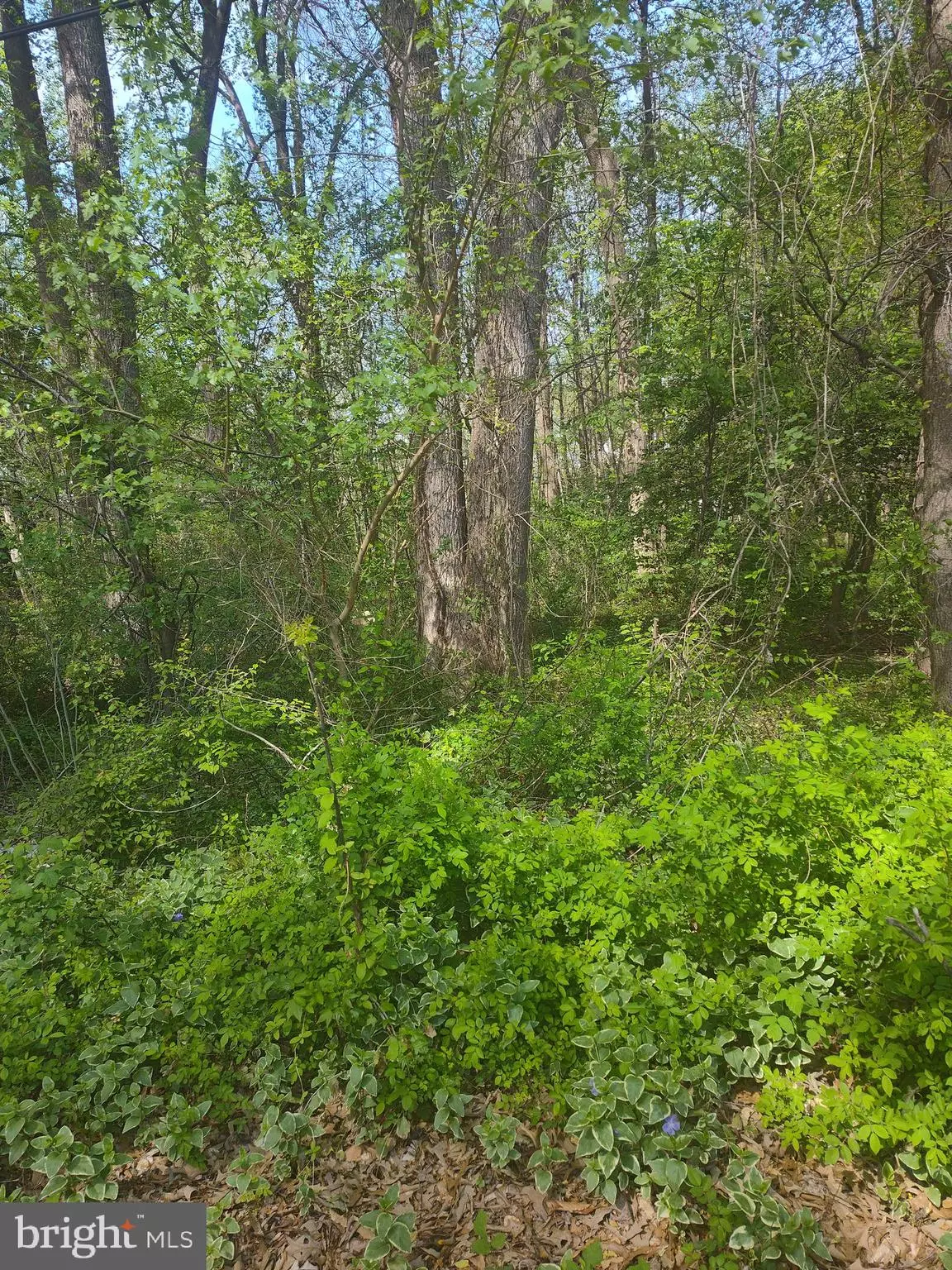 Chestertown, MD 21620,GEORGETOWN RD SE
