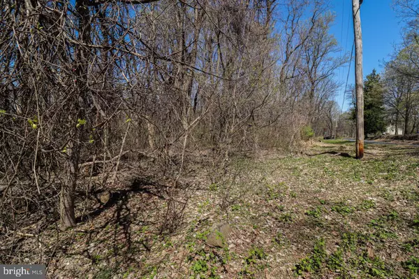 Dillsburg, PA 17019,LOT 2 MEADOW TRL