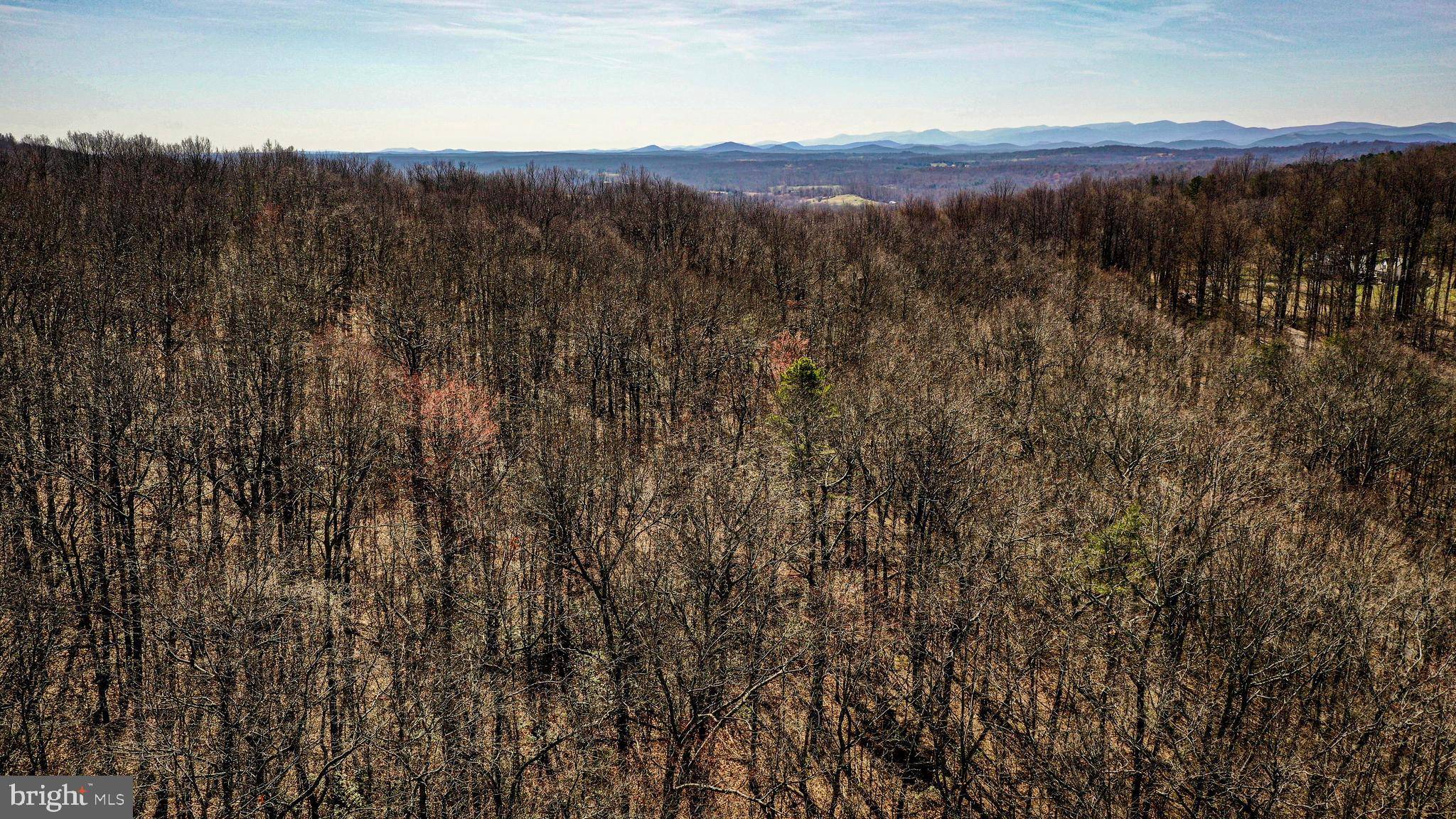 Marshall, VA 20115,TBD HIDDEN SPRINGS DR