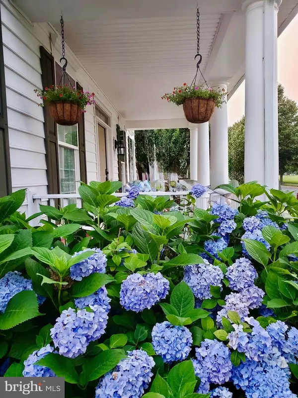 Milton, DE 19968,16426 SAMUEL PAYNTER BLVD