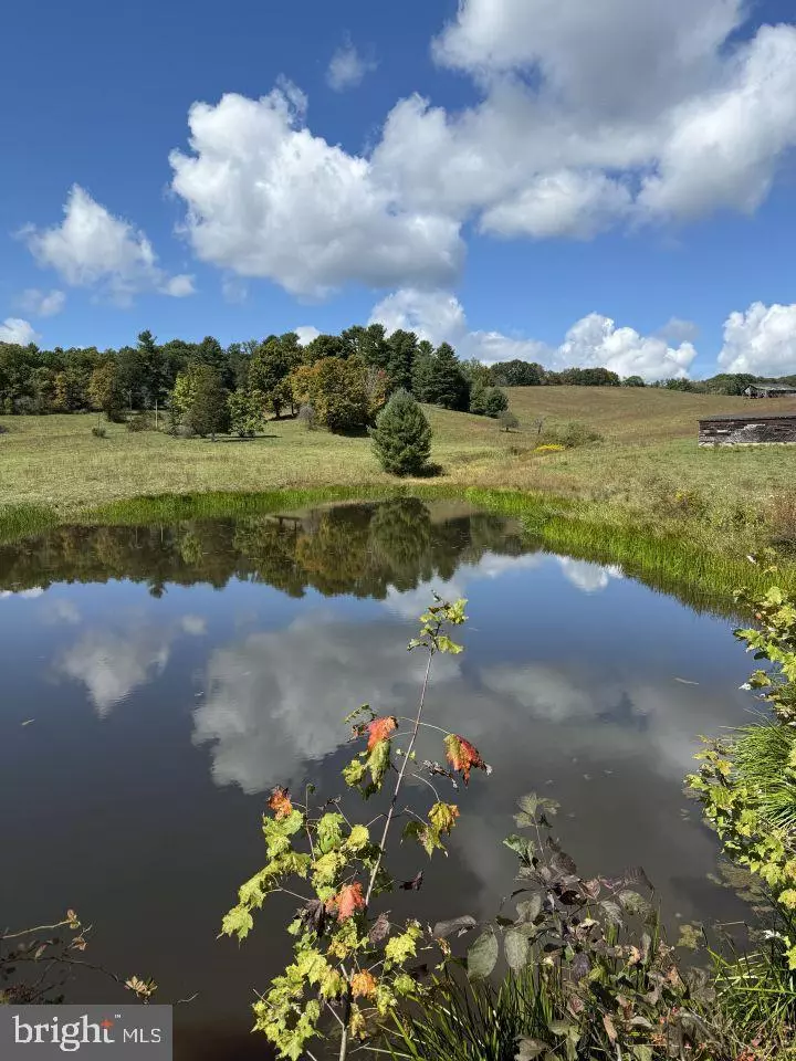 White Sulphur Springs, WV 24986,0 KATES MOUNTAIN