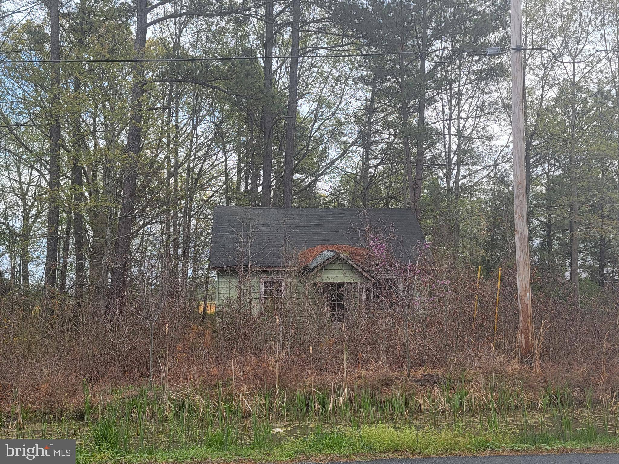 11800 POINT LOOKOUT RD,  Scotland,  MD 20687