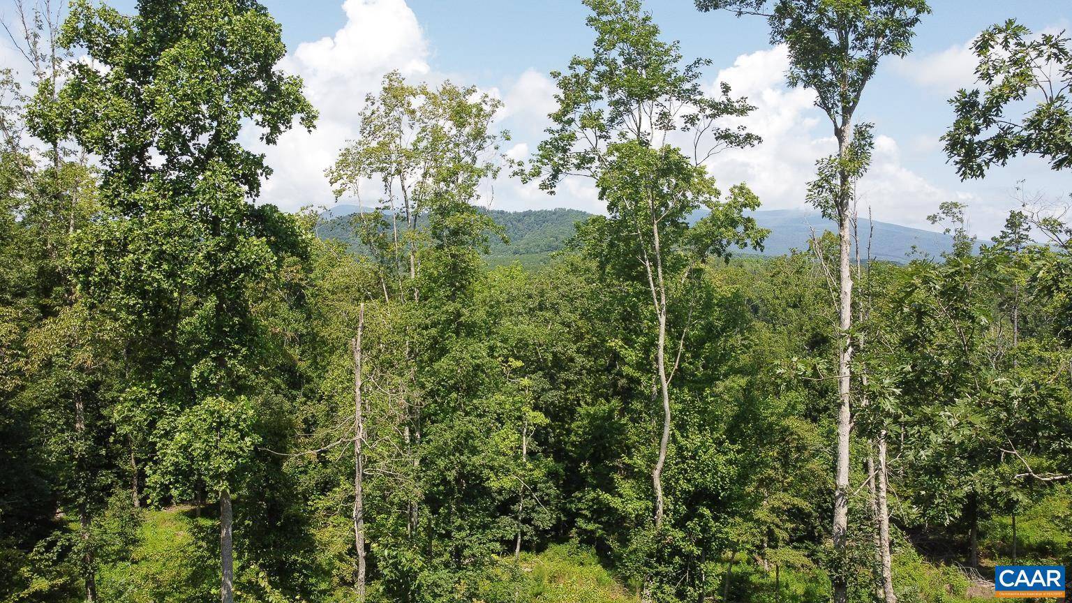 Faber, VA 22938,0 ADIAL RD #10