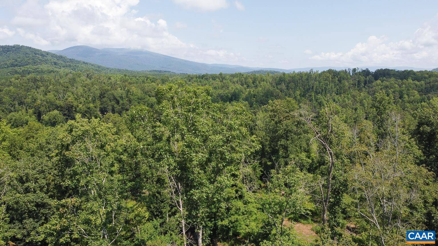 Faber, VA 22938,0 ADIAL RD #10