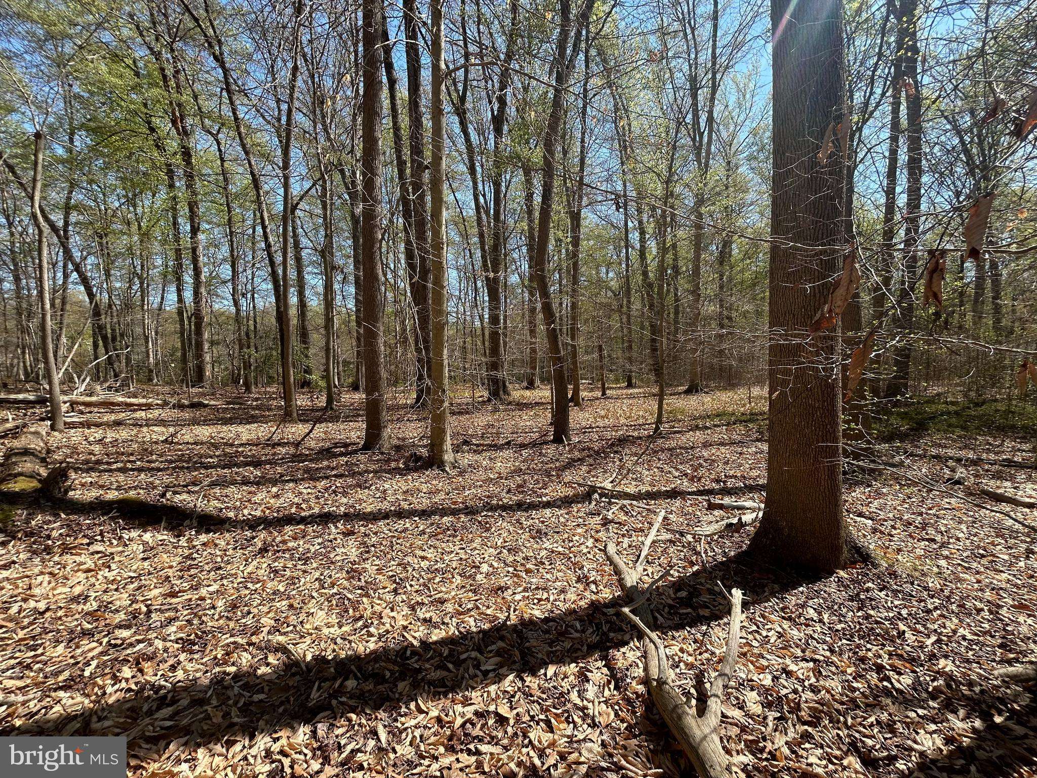 Chesapeake City, MD 21915,MT NEBO RD