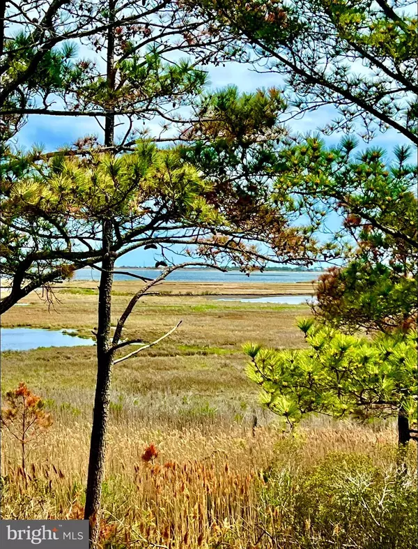 Selbyville, DE 19975,34650 SENTRY CT #146