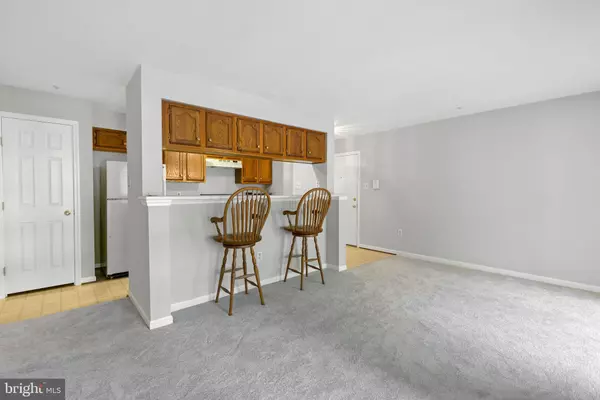 Bel Air, MD 21014,1003-E JESSICAS CT #11