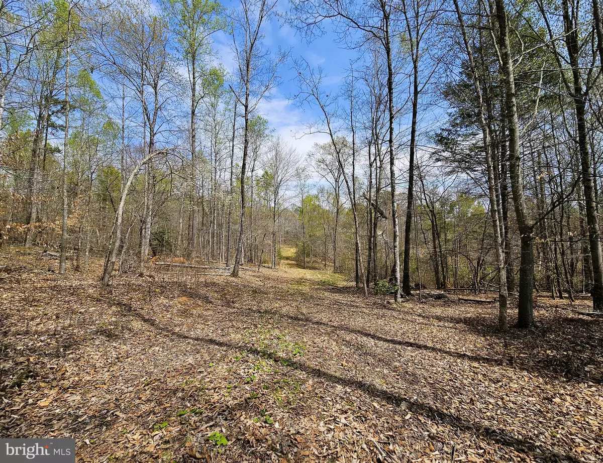 Culpeper, VA 22701,AMANDA'S RIDGE LANE