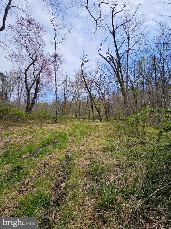 Culpeper, VA 22701,AMANDA'S RIDGE LANE