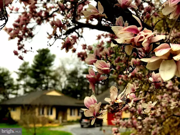 New Hope, PA 18938,4482 LOWER MOUNTAIN RD