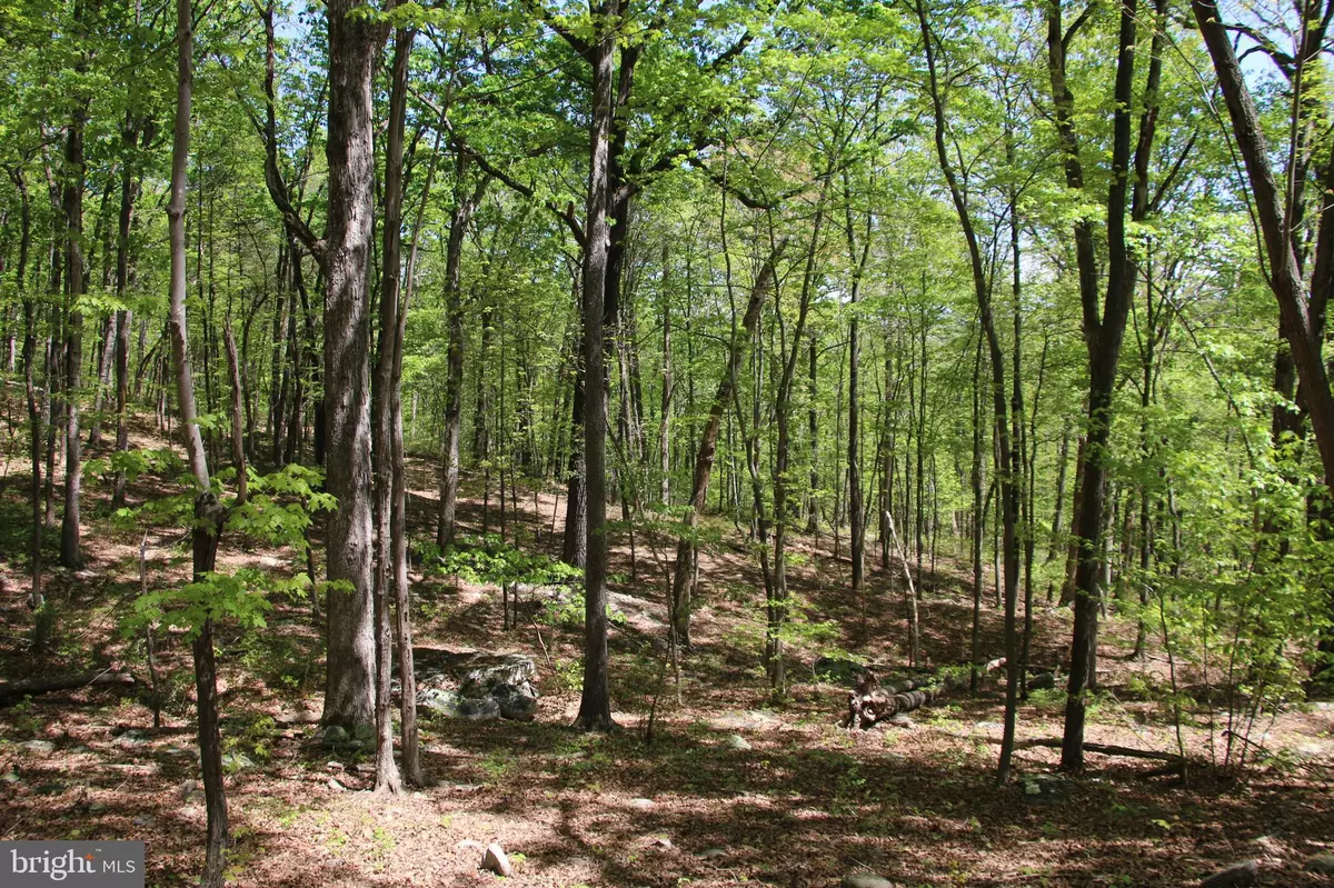 Luray, VA 22835,N EGYPT BEND RD