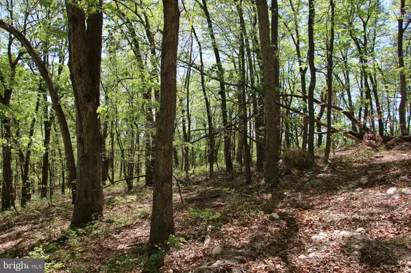 Luray, VA 22835,N EGYPT BEND RD