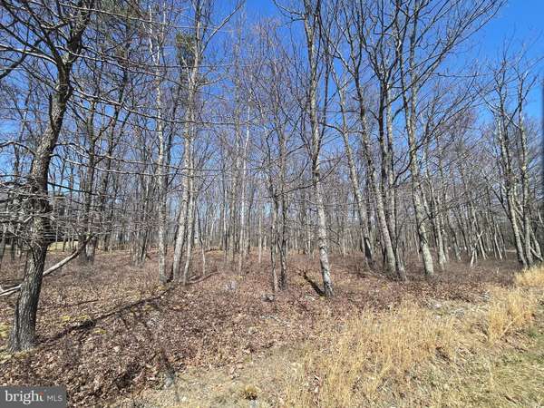 Hazleton, PA 18202,0 TURNBERRY LN